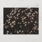 "Constellation Bosque" Postkarte (Vorderseite)