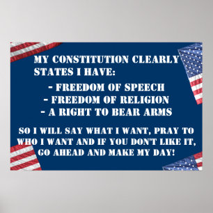 CONSTITUTIONAL RIGHTS POSTER