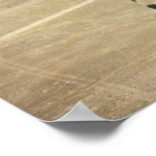 Container-Zustellsystem bündelt Fallschirm Poster (Ecke)