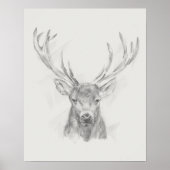 Contemporary Elk Sketch Poster (Vorne)