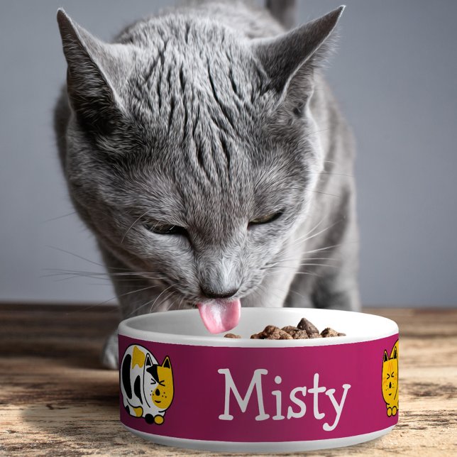 Content Calico und Tabby Cats individuell anpassba Napf (Von Creator hochgeladen)