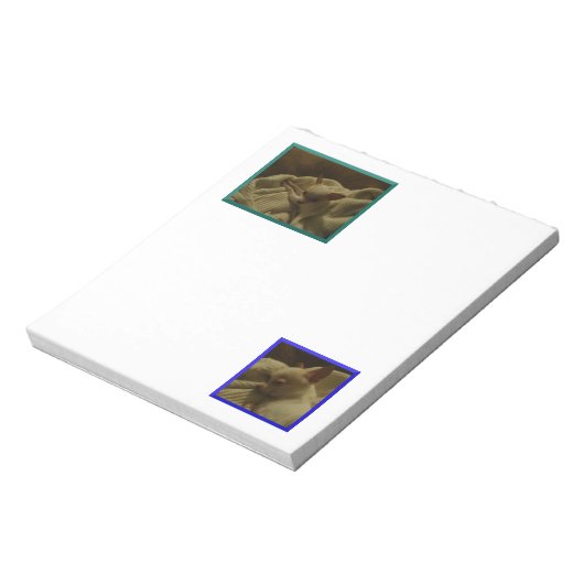 Content Chihuahua Puppy Notepad Notizblock (Rotiert)