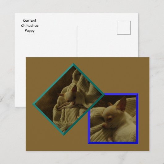 Content Chihuahua-Welppy-Postkarte Postkarte (Vorne/Hinten)
