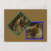 Content Chihuahua-Welppy-Postkarte Postkarte (Vorderseite)