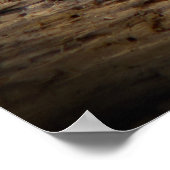 Content Tiger Poster (Ecke)