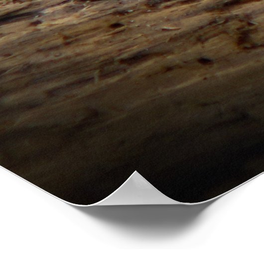 Content Tiger Poster (Ecke)