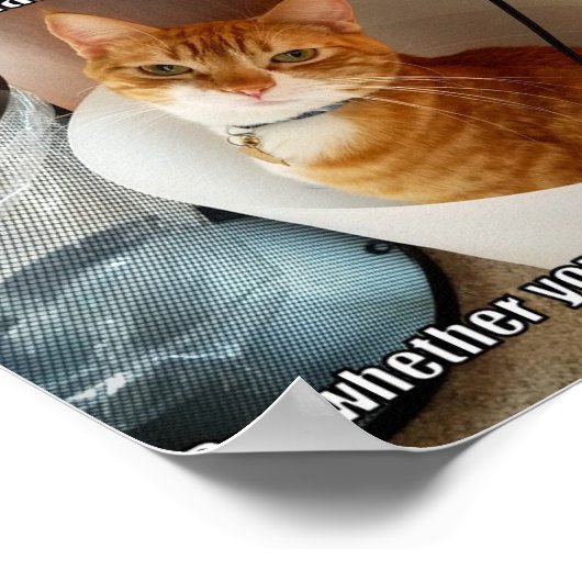 Content with failure poster (Ecke)