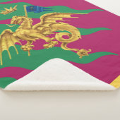 Contrada del Drago (Drache) Palio di Siena Sherpadecke (3/4)