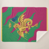 Contrada del Drago (Drache) Palio di Siena Sherpadecke (Vorderseite (Horizontal))