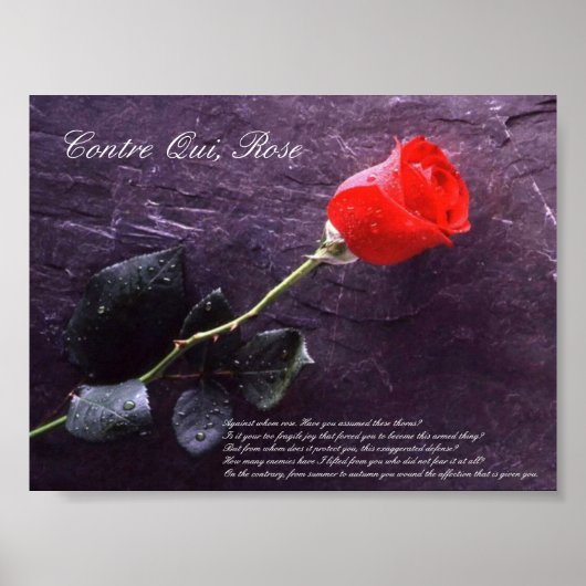 Contre Qui, Rose Poster (Vorne)