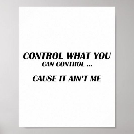 Control What You Can Control Cause It Ain't Me Fun Poster (Vorne)