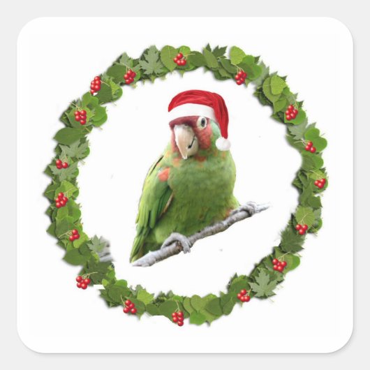 Conure Christmas Wreath Quadratischer Aufkleber (Vorderseite)