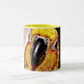 Conure Liebe Zweifarbige Tasse (Mittel)