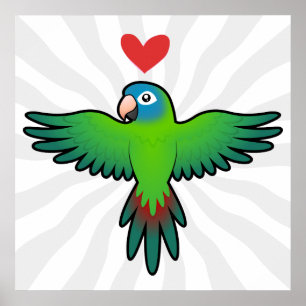 Conure / Lorikeet / Papageienliebe Poster