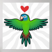 Conure / Lorikeet / Parrot Liebe Poster (Vorne)