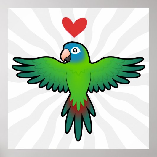 Conure / Lorikeet / Parrot Liebe Poster (Vorne)