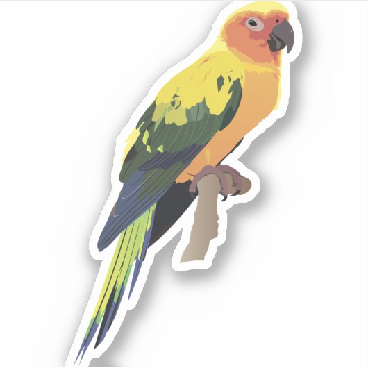 Conure Parrot Aufkleber (Vorderseite)