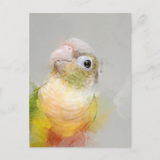 Conure Portrait 012 Postkarte (Vorderseite)