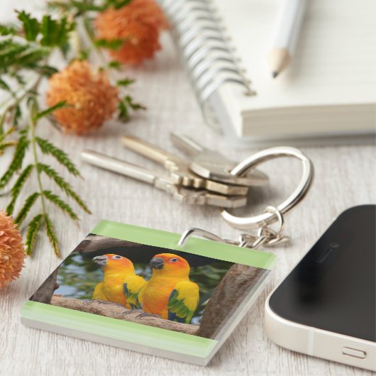 Conures Schlüsselkette Schlüsselanhänger (Vorderseite rechts)