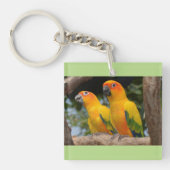 Conures Schlüsselkette Schlüsselanhänger (Vorderseite)