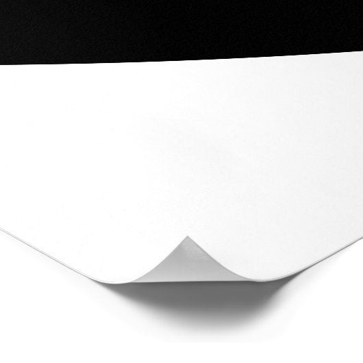 Converged Opposing Logarithmic Spirals var 2 Poster (Ecke)