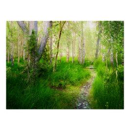 Convict Lake Aspen Meadow Wall Art Nature Print Poster