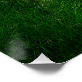 Convict Lake Aspen Meadow Wall Art Nature Print Poster (Ecke)