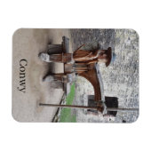Conwy Magnet (Horizontal)
