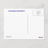 Conwy Postkarte (Rückseite)