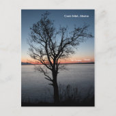 Cook Inlet mit Denali und Foraker - Alaska Postkarte (Vorderseite)