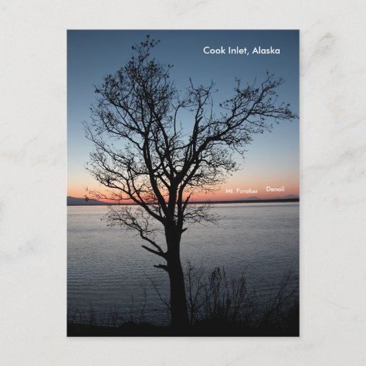 Cook Inlet mit Denali und Foraker - Alaska Postkarte (Vorderseite)