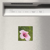 Cook Islands, Atiu. Hibiskus Blume. Magnet (In Situ (Geschirrspüler))