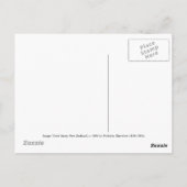 'Cook Strait, New Zealand' Postkarte (Rückseite)