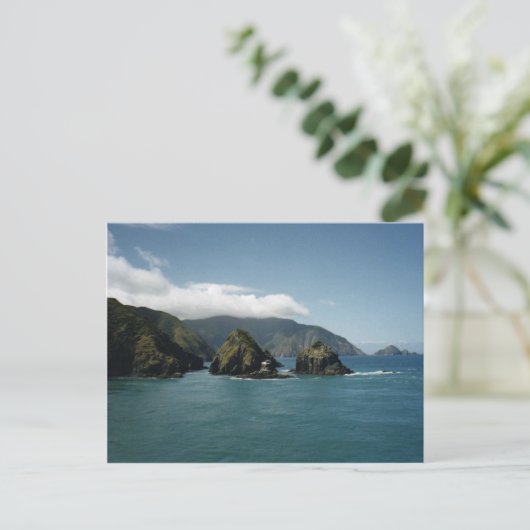 Cook Strait Postkarte (Stehend Vorderseite)