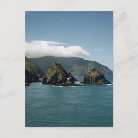 Cook Strait Postkarte (Vorderseite)