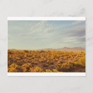 Cookes Peak Postcard 14 Postkarte