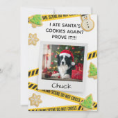 Cookie Crime Scene Funny Dog Christmas Card Dankeskarte (Vorderseite)