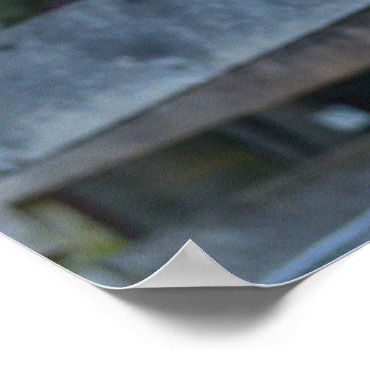 Cookie Kuh Poster (Ecke)