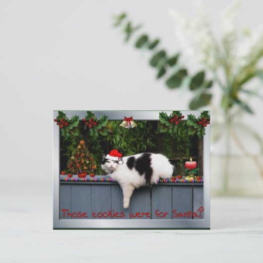 Cookie Love Cat Postkarte (Stehend Vorderseite)