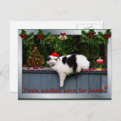 Cookie Love Cat Postkarte (Vorne/Hinten)