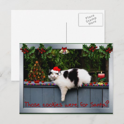 Cookie Love Cat Postkarte (Vorne/Hinten)