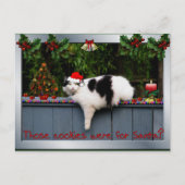 Cookie Love Cat Postkarte (Vorderseite)