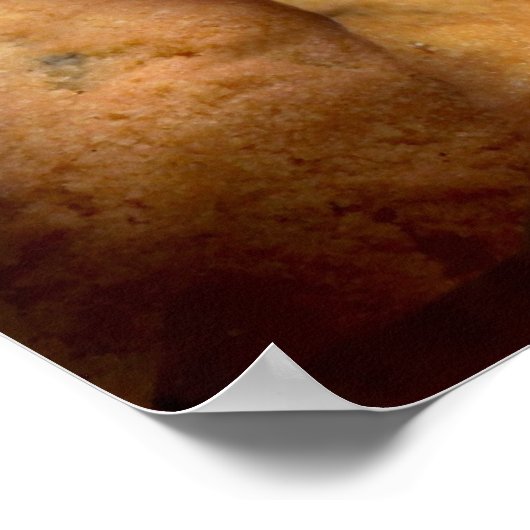 Cookie Monster Poster (Ecke)