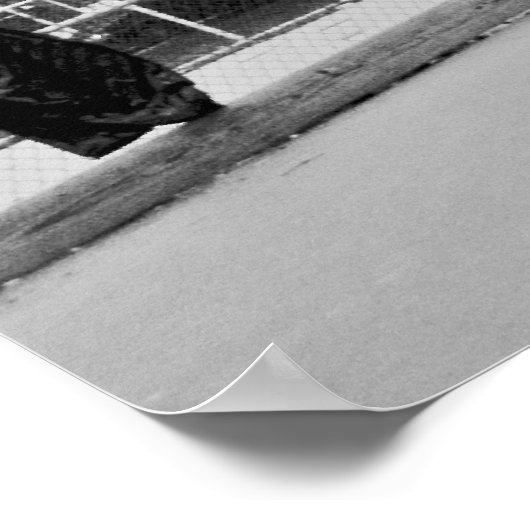 Cookie Poster (Ecke)