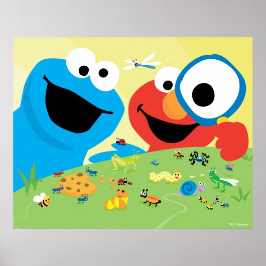 Cookie und Elmo suchen nach Bugs Poster (Vorne)