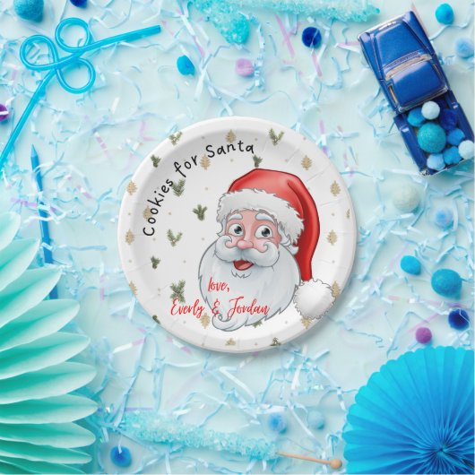 Cookies für den Weihnachtsmann Pappteller (Party)
