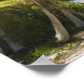 Cookinseln, Aitutaki. Kanufahrt nach Polynesien Poster (Ecke)