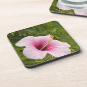 Cookinseln, Atiu. Blume des Hibiskus. Untersetzer (Linke Seite)