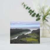 Cook's Chasm, Cape Perpetua, OR Postkarte (Stehend Vorderseite)