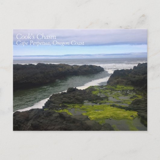 Cook's Chasm, Cape Perpetua, OR Postkarte (Vorderseite)
